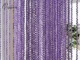 100 * 200Cm Threaded Line Curtain Indoor Home Decoration Wedding Background Decorations Supplies