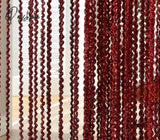 100 * 200Cm Threaded Line Curtain Indoor Home Decoration Wedding Background Decorations Supplies