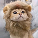 1pc Adjustable Lion Mane Wig Cap for Puppies & Kittens - Cozy Polyester Pet Headgear with Ears - Ideal for Autumn & Winter Photo Shoots, Christmas & New Year Decorations - For Pet Owners - Fun & Festive Pet Accessory - Perfec