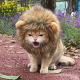 1pc Adjustable Lion Mane Wig Cap for Puppies & Kittens - Cozy Polyester Pet Headgear with Ears - Ideal for Autumn & Winter Photo Shoots, Christmas & New Year Decorations - For Pet Owners - Fun & Festive Pet Accessory - Perfec