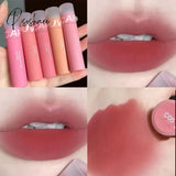 5 Colors Velvet Matte Lip Gloss Liquid Lipstick Waterproof Long Lasting Women Tint Student Glaze