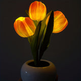 LED Simulation Tulip Night Light - 1pc USB Table Lamp Ornaments With Vase - Best Mother's Day Gift For Home Living Room Desktop Decor