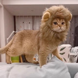 1pc Adjustable Lion Mane Wig Cap for Puppies & Kittens - Cozy Polyester Pet Headgear with Ears - Ideal for Autumn & Winter Photo Shoots, Christmas & New Year Decorations - For Pet Owners - Fun & Festive Pet Accessory - Perfec