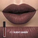 Waterproof Liquid Lipstick Batom Red Velvet Lip Tint Brown Nude Matte Colourful Lipstick Makeup Cosmetics Maquiagem