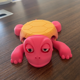Panicked Turtle