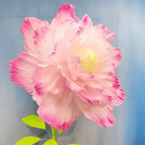 10 Pcs Artificial Crepe Paper Petals DIY Large Peony Flower Wedding Decor Paper Flowers Birthday Party Event Home Backdrop Decor