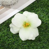 Hawaiian Flower Hair Clip For Women Girls Romantic Bohemian Flower Side Bangs Clip BB Hair Clips Hair Accessories