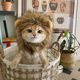 1pc Adjustable Lion Mane Wig Cap for Puppies & Kittens - Cozy Polyester Pet Headgear with Ears - Ideal for Autumn & Winter Photo Shoots, Christmas & New Year Decorations - For Pet Owners - Fun & Festive Pet Accessory - Perfec