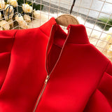 Autumn Winter Puff Long Sleeve Dresses For Women Party Christmas Turtleneck Slim A-Line Elegant New