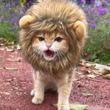 1pc Adjustable Lion Mane Wig Cap for Puppies & Kittens - Cozy Polyester Pet Headgear with Ears - Ideal for Autumn & Winter Photo Shoots, Christmas & New Year Decorations - For Pet Owners - Fun & Festive Pet Accessory - Perfec