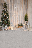 Gray Background Winter Christmas Candle Tree Festival Fireplace Floor Xmas Family Shoot Celebration