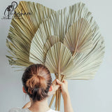 Koko Flower Natural Palm Leaf Dried Flowers Arch Wedding Home Fall Decor Window Reception Party Art