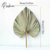 Koko Flower Natural Palm Leaf Dried Flowers Arch Wedding Home Fall Decor Window Reception Party Art