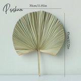 Koko Flower Natural Palm Leaf Dried Flowers Arch Wedding Home Fall Decor Window Reception Party Art