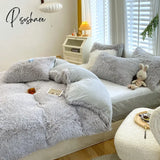 Pisoshare Nordic Winter Warm Bedding Set Luxury Thicken Mink Fleece Duvet Cover Bed Sheet And