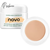 Professional Full Coverage Flawless Makeup Texture Concealer Foundation For Facial Acne Marks Dark