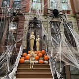 Spider Webs Halloween Decorations With Fake Spiders White Stretch Cobweb For Outdoor And Indoor