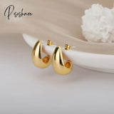 Stainless Steel Hook Earrings For Women Pin Minimalist Chic Baroque Style Elegant Female Jewelry