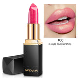 Brand Professional Lips Makeup Waterproof Long Lasting Pigment Nude Pink Mermaid Shimmer Lipstick Luxury Makeup