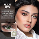 2pcs Color Contact Lenses HEMA Silicone Hydrogel 40% Water Content 14.2 Pupils Natural Colored Eye Lenses Free Shipping With Box